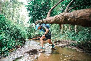 BIB: 
                            <button type="button" onclick="openModal(25376012)" class="btn btn-primary btn-sm float-right btn-popup" data-toggle="modal" data-target=".modal-high-quality">
                        <i class="fas fa-shopping-cart"></i> Add to Cart
                    </button>
                                            <button type="button" onclick="isThisMe(25376012, true)" class="btn btn-success btn-sm float-right btn-popup btn-isme hidden" data-toggle="tooltip" data-placement="bottom" title="นี่คือรูปของคุณใช่ไหม คลิกที่นี่เพื่อเอาเข้าอัลบั้ม">
                        <i class="fas fa-plus"></i> Add to album
                    </button>
                    <button type="button" onclick="isThisMe(25376012, false)" class="btn btn-warning btn-sm float-right btn-popup btn-isnotme hidden">
                        <i class="fas fa-ban"></i> Remove from album
                    </button>